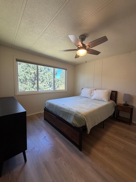 Rustic Bear Lodge-6